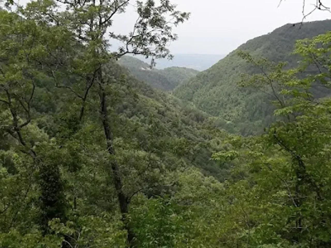 Acısu Yaylası — Hatay yayla fotoğrafı