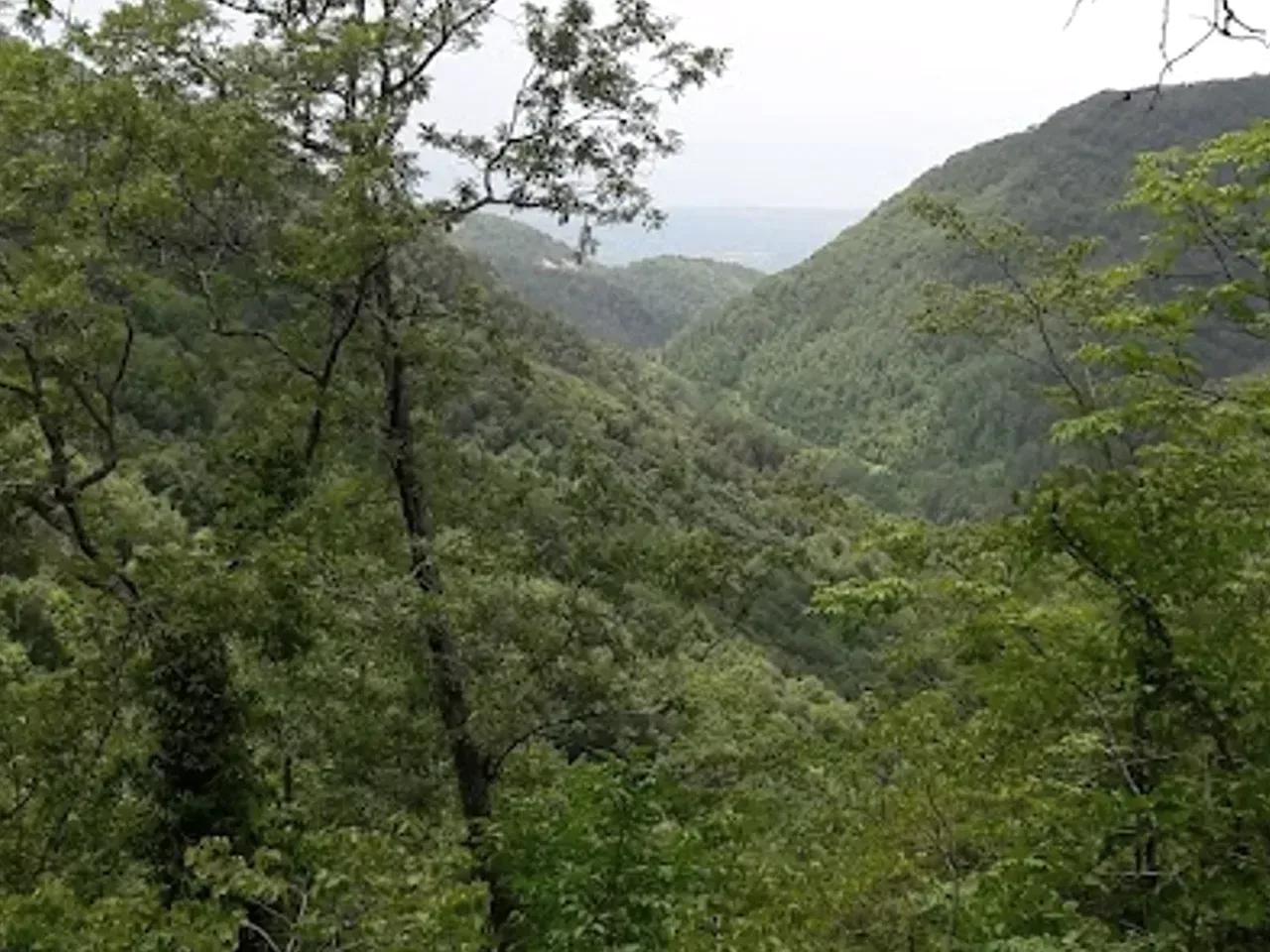 Beşoluk Yaylası — Hatay yayla fotoğrafı