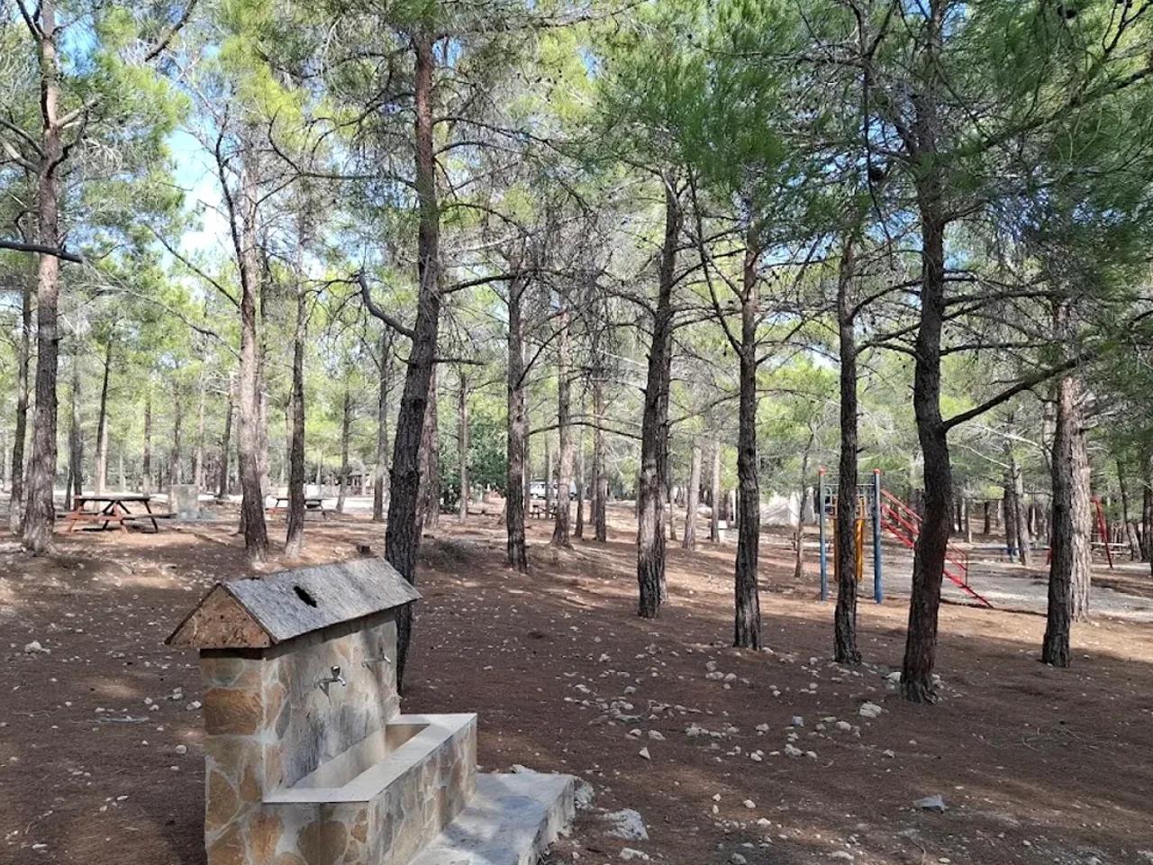 Çamdüzü (Şehitlik) Tabiat Parkı — Mersin tabiat parkı fotoğrafı