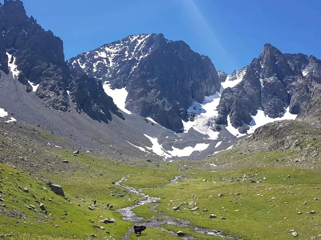 Çavuşlar Yaylası - Erzurum yayla fotoğrafı