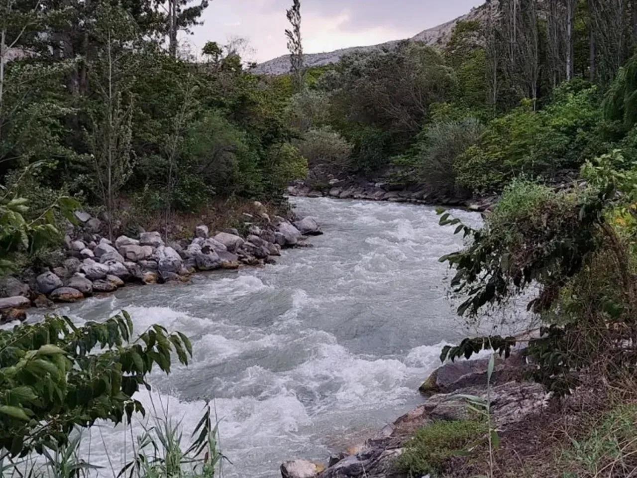 Cimek Yaylası - Erzurum yayla fotoğrafı