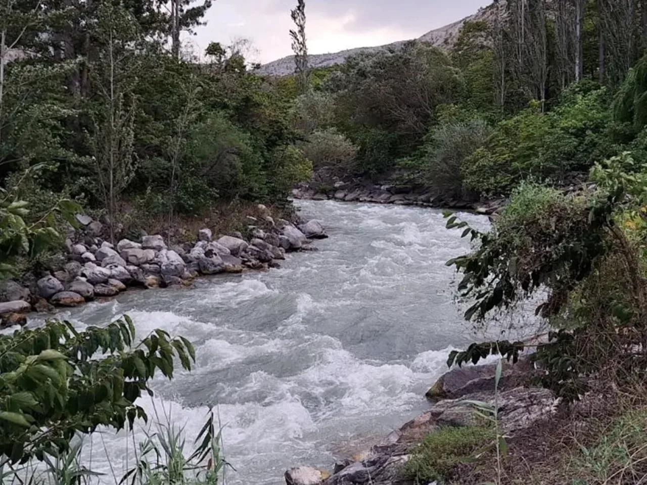 Eyrek Yaylası — Artvin yayla fotoğrafı