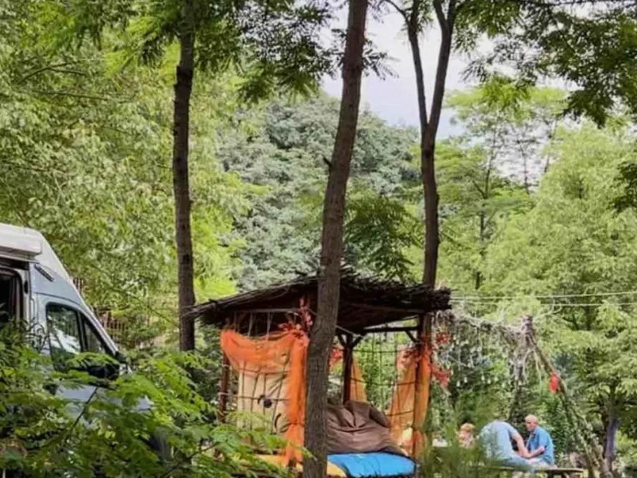 Gaga Gölü Kamp Alanı — Ordu kamp alanı fotoğrafı