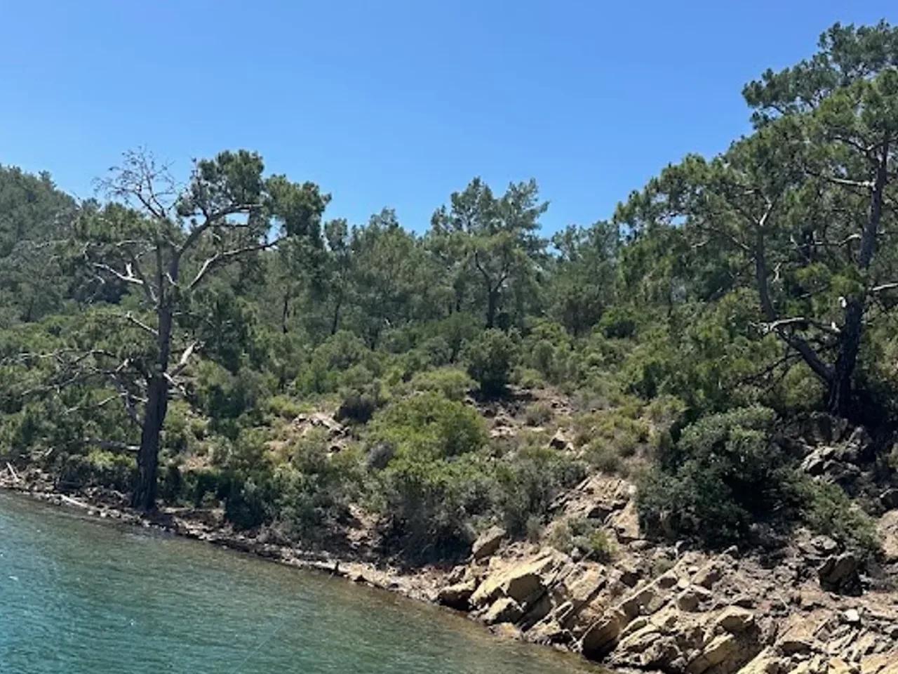İnbükü Tabiat Parkı — Muğla tabiat parkı fotoğrafı