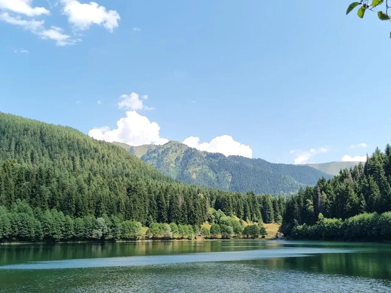 Konk Yaylası - Artvin yayla fotoğrafı