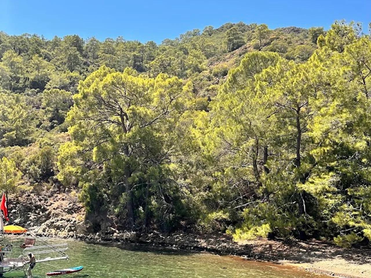 Küçük Semizce Koyu — Muğla plaj fotoğrafı