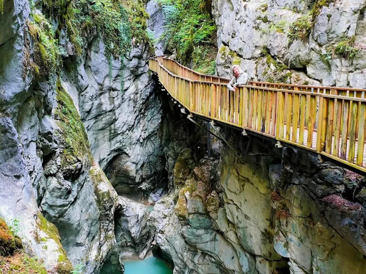 Küre Dağları Milli Parkı — Bartın milli park fotoğrafı