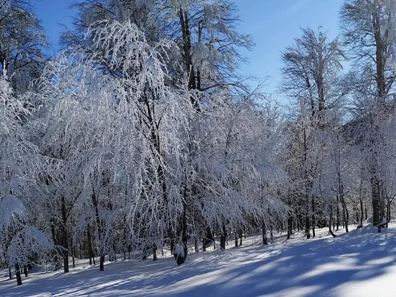 Kuzuyayla Tabiat Parkı — Kocaeli tabiat parkı fotoğrafı