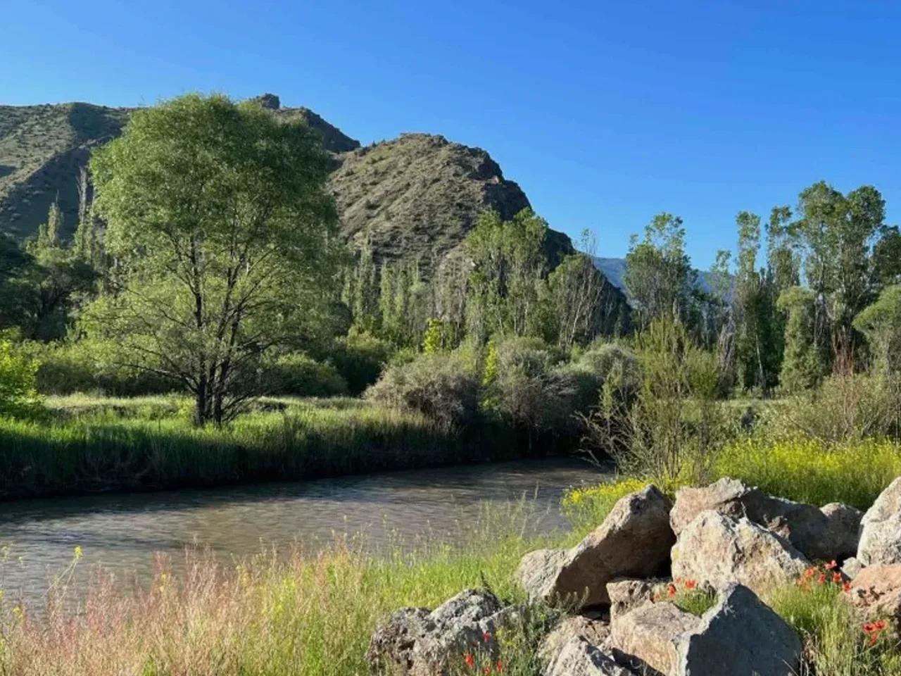 Örük Yaylası — Erzurum yayla fotoğrafı