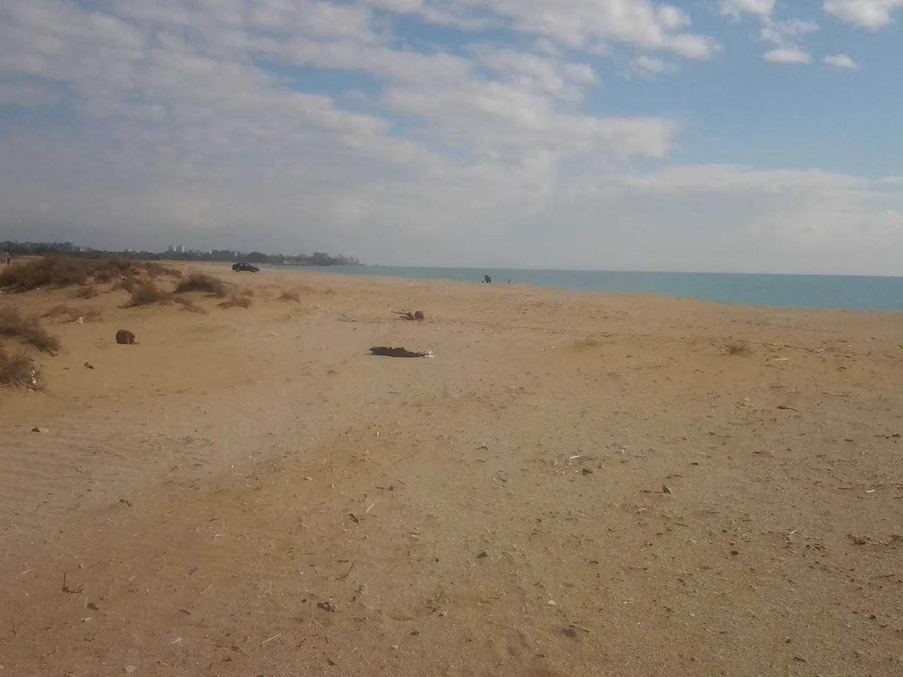 Tarım Kredi Tesisleri Plajı — Adana plaj fotoğrafı