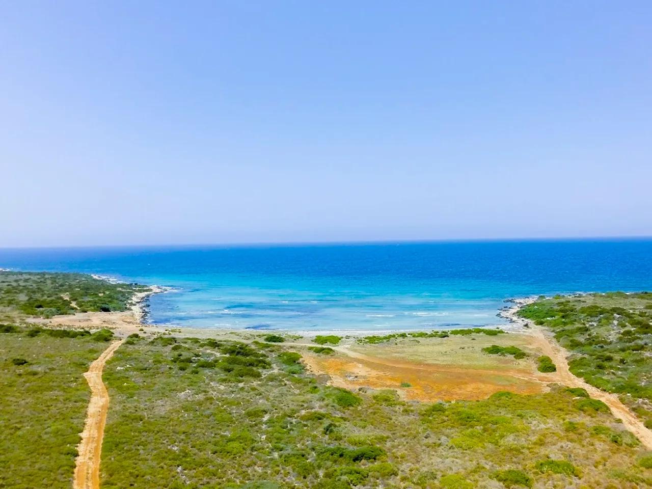 Woodsmantr Plajı - Aydın plaj fotoğrafı