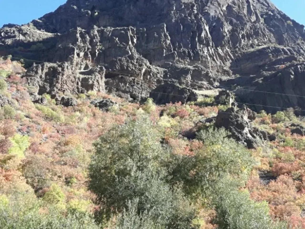 Yaymeşe Yaylası — Erzurum yayla fotoğrafı