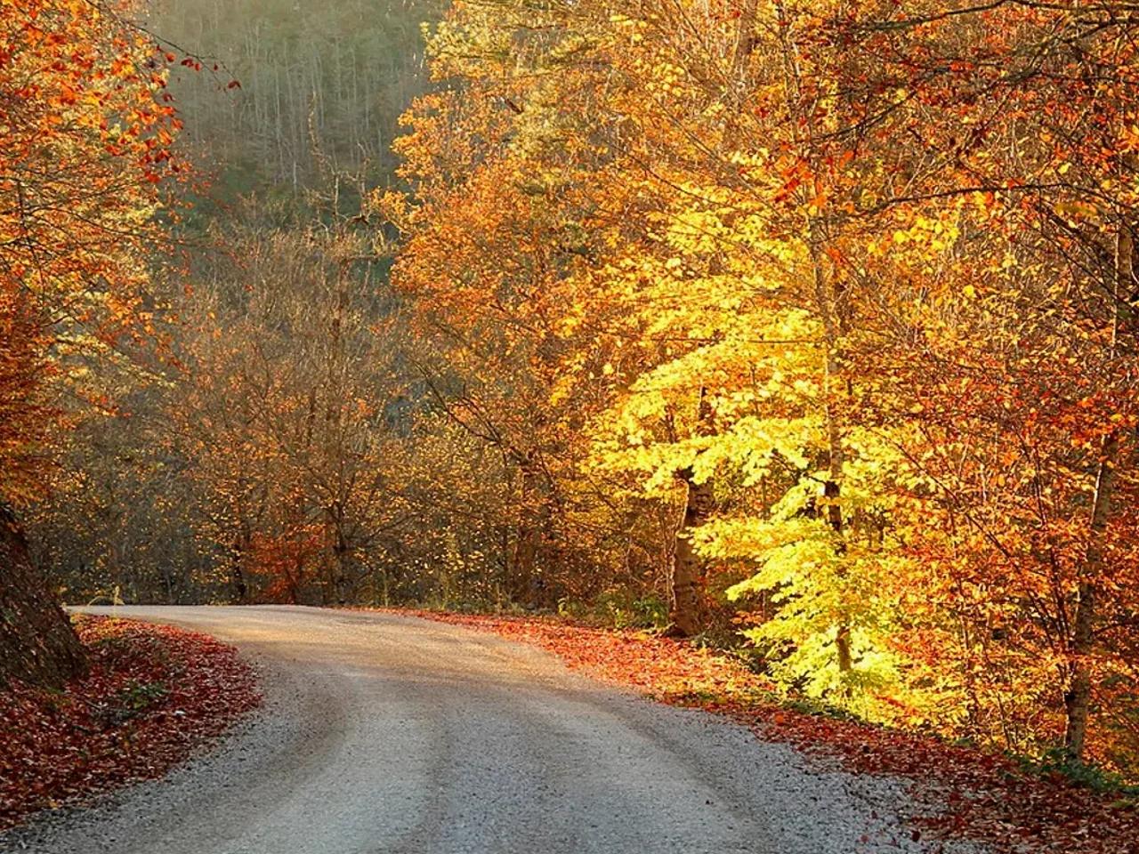 Yedigöller Milli Parkı — Bolu milli park fotoğrafı