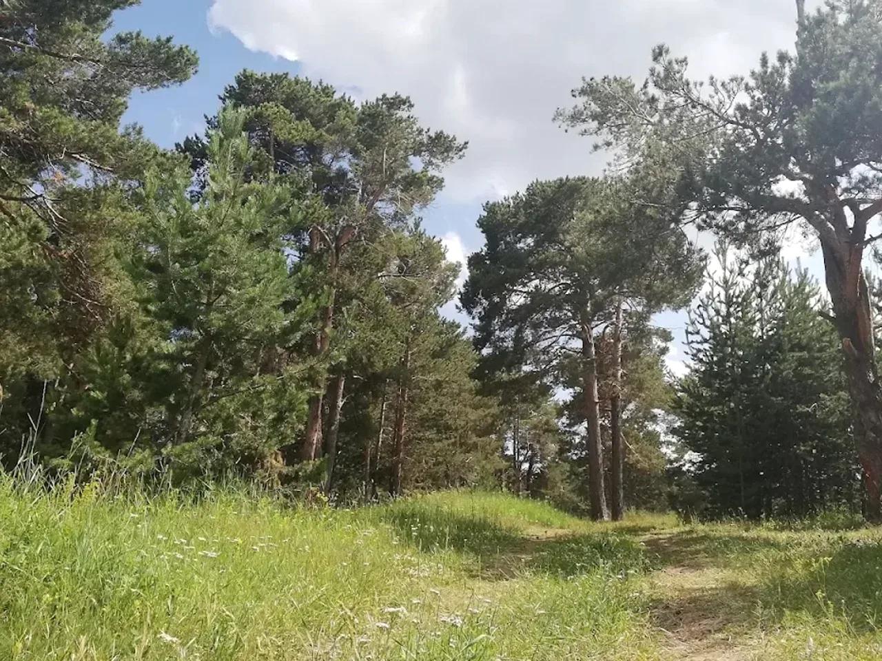 Yukarıdamlapınar Yaylası — Kars yayla fotoğrafı